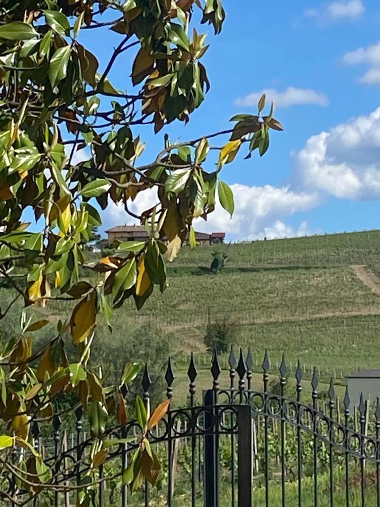 Piemonte Country House Agliano Terme Εξωτερικό φωτογραφία